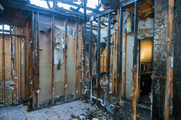Professional Fire Damage Removal technician working in Maugansville, MD